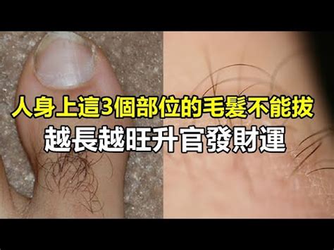 臉上長白毛是什麼意思|【臉上長白毛是什麼意思】臉上長白毛命理揭秘：吉兆。